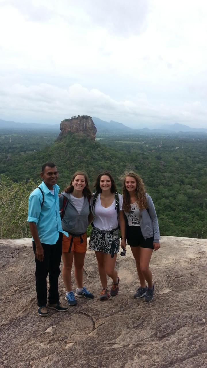 Jungle House Tourist Inn Dambulla Eksteriør billede